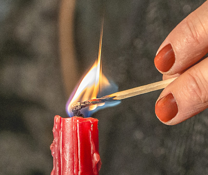 maravillas-jupiter-apdo-olvido-flores-galeria-caravana-08_0278